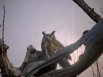 Đụng vào bố mày đâu có dễ!  #camdong #douyin #xuhuong #fyp 