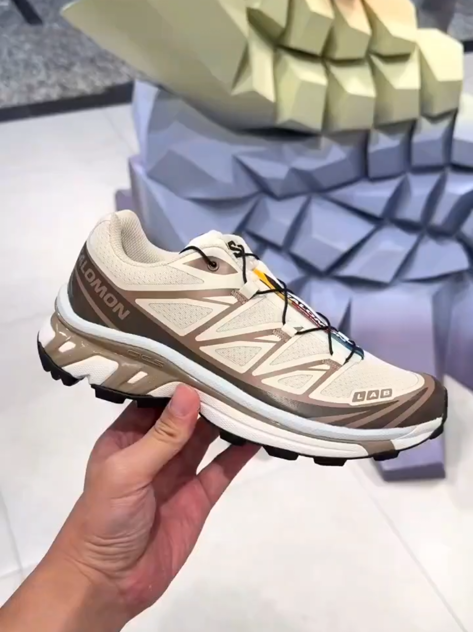 Salomon XT6 Vanilla Ice Iron Etherea #salomon #salomonxt6 #foryou 