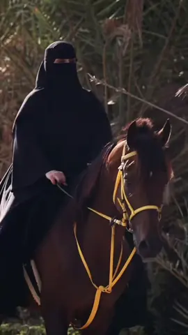 #عاشقه_الخيل🐎❤ #الحمدلله_على_تربية_اهلنا #اعادة_النشر🔃 #مالي_خلق_احط_هاشتاقات #اكسبلور 