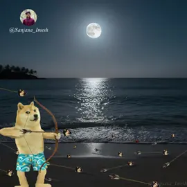 3n weni ahen balanna 😌💗 dewaduthiyak cheems version 😌♥️  jusf for fun #creatorsearchinsights #sanjanaimesh #cheemsmeme  #dewaduthiyak #viral 