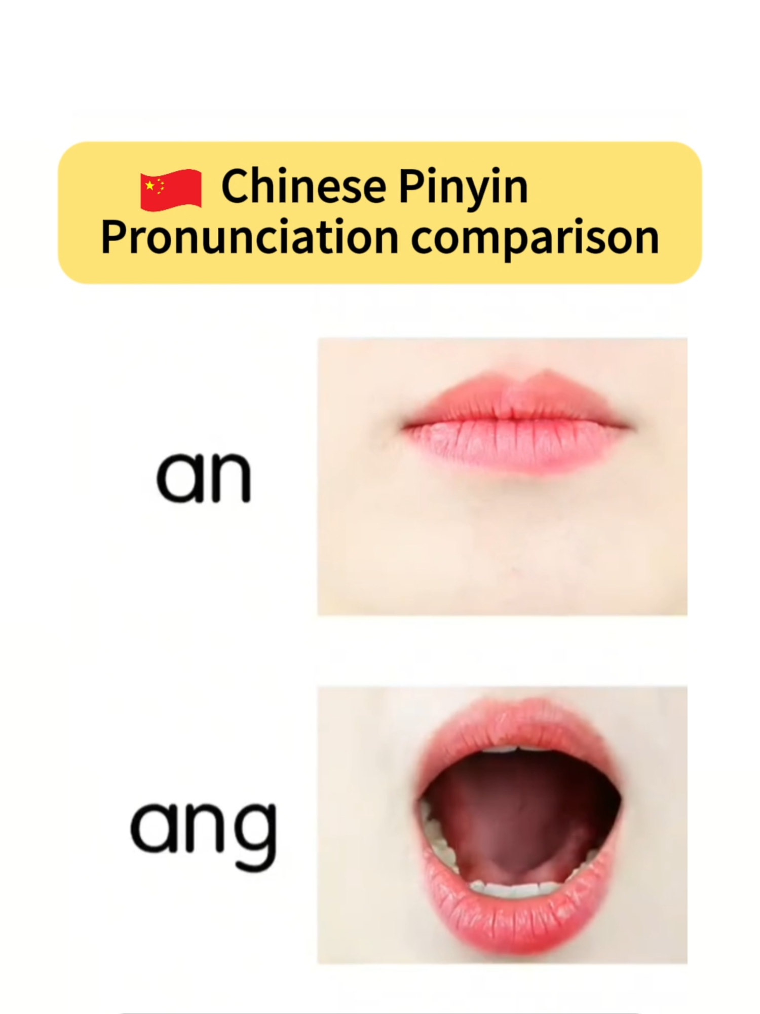 Chinese Pinyin comparison, can you hear the difference? 😊 Join my Beginner Course to learn more! ✨  #chineseforbeginners #chinesewords #chinesevocabulary #learnchinese #learnchineseonline #chineseteacher #studychinese #chinesewithmegan #studychineselanguage #chineselanguage #chineseexpressions #chinatravel