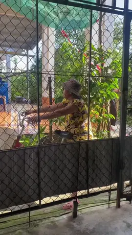 Giải trí tí thui nhé 