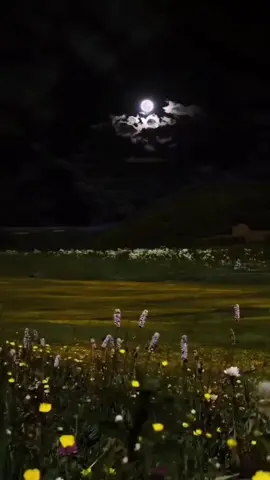 سبب أغلب المشاكل وقطع  العلاقات!!!  #fyp #foryou #foryoupage #capcut #duet #pov  #اقتباسات#اقوال #حكمة #خواطر#اكسبلور #نجاح #علم_النفس #تطوير_الذات  #كلام_من_ذهب #اطمئن  #اقتباسات_عبارات_خواطر #تحفيزات_إيجابية#capcut 