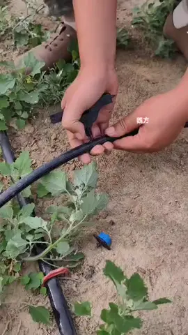 Blind pipe nzuri sana kwaajili ya umwagiliaji 🚰✅  zinapatikana kwa size; 1.0mm-500mm 1.2mm-500mm Ni rahisi na nzuri kutumia hata kwenye bustani.