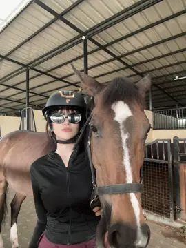 armors ❤️ #equestrian #horse 