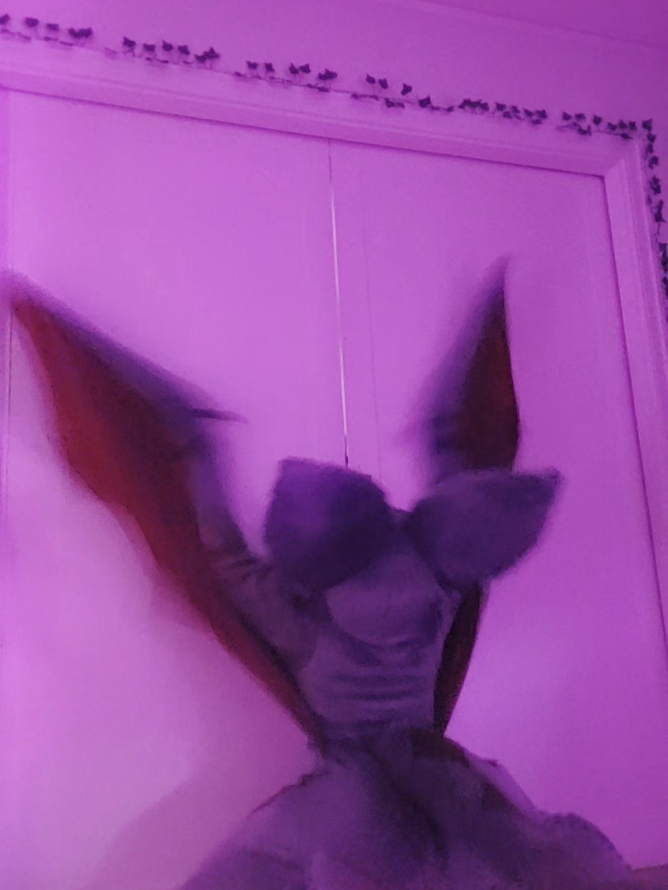 Love my pocket doors but sometimes I feel like they hate me... #fursuit #fursuiter #batfursuit #batfurry #furry 