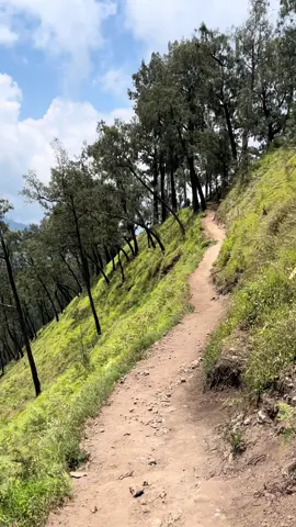 jalur buthak paling ?#buthak_2868_mpdl 