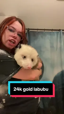So much better then a labubu! #opossum #opossums #animal #pet #marsupial 
