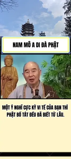 MỘT Ý NGHĨ CỰC KỲ VI TẾ CỦA BẠN THÌ PHẬT BỒ TÁT ĐỀU ĐÃ BIẾT TỪ LÂU. ------- HT Tịnh Không giảng