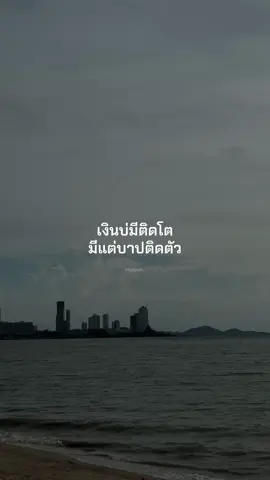 บาปหลาย#เธรดเพลง #เธรดอีสาน #ฟีดดดシ 