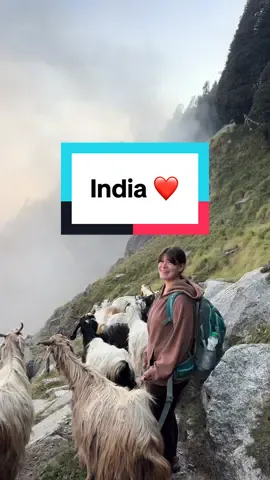 <<<< India ❤️ . .  #India #himachal #himalaya #dharamshala #solotravel #mountain 