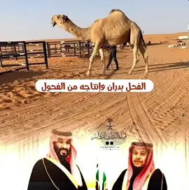 بدران فحل الموسى 🔥🔥#مالي_خلق_احط_هاشتاقات🧢 #الشعب_الصيني_ماله_حل😂😂😂 #الموسى #مصيحات #الصياهد 