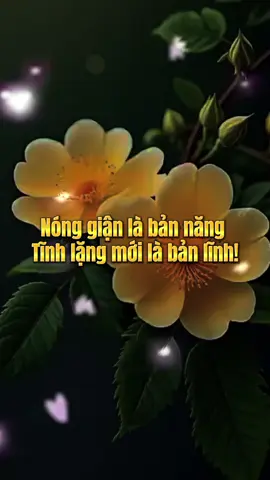 nóng giận là bản năng tĩnh lặng là bản lĩnh.  #TikTokAwardsVN #sachhay #xuhuongtiktok #caunoihay #trietlycuocsong 