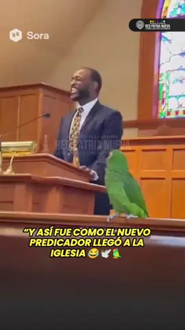 En plena misa, un lorito sorprendió a todos al gritar “¡aleluya!” junto al pastor. El momento desató risas y ya conquista las redes. 🦜🙌 #Loro  #TiktokViral  #Humor #redpatrianueva 
