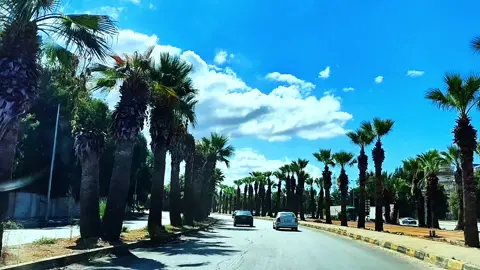 #جورج_وسوف_🔚ابو_وديع_سلطان_الطرب👑 #WelcomeWassouf #اسمعوني #وسوفيات_ابو_وديع_سلطان_الطرب #fyppppppppppppppppppppppp 