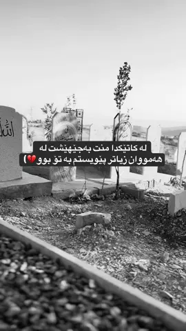 #foryou #fyp #viral #hawler_slemani_dhok_karkuk_hallabja 