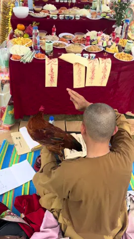 Phóng kim kê kim kê  Hoá giải tà khí,hoá giải âm tà quỷ mị Phóng thần kê,thần kê Hoá giải thần trùng bảo vệ vong linh Quy hồi âm cảnh #tiktokpakistanofficial #xuhuongtiktok2025☘️🍀♥️ #phùchúđạogia #tamgiaophùlục #lỗbantiênsư 