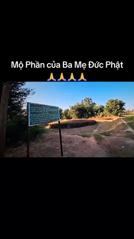 YT. Lê Quang Hà TV.