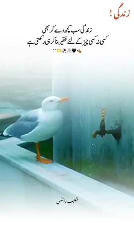 it's true 🥹💯 ... @TikTok #fypシ゚ #fyp #foryoupage #urdupoetry #shoaibwrites16 