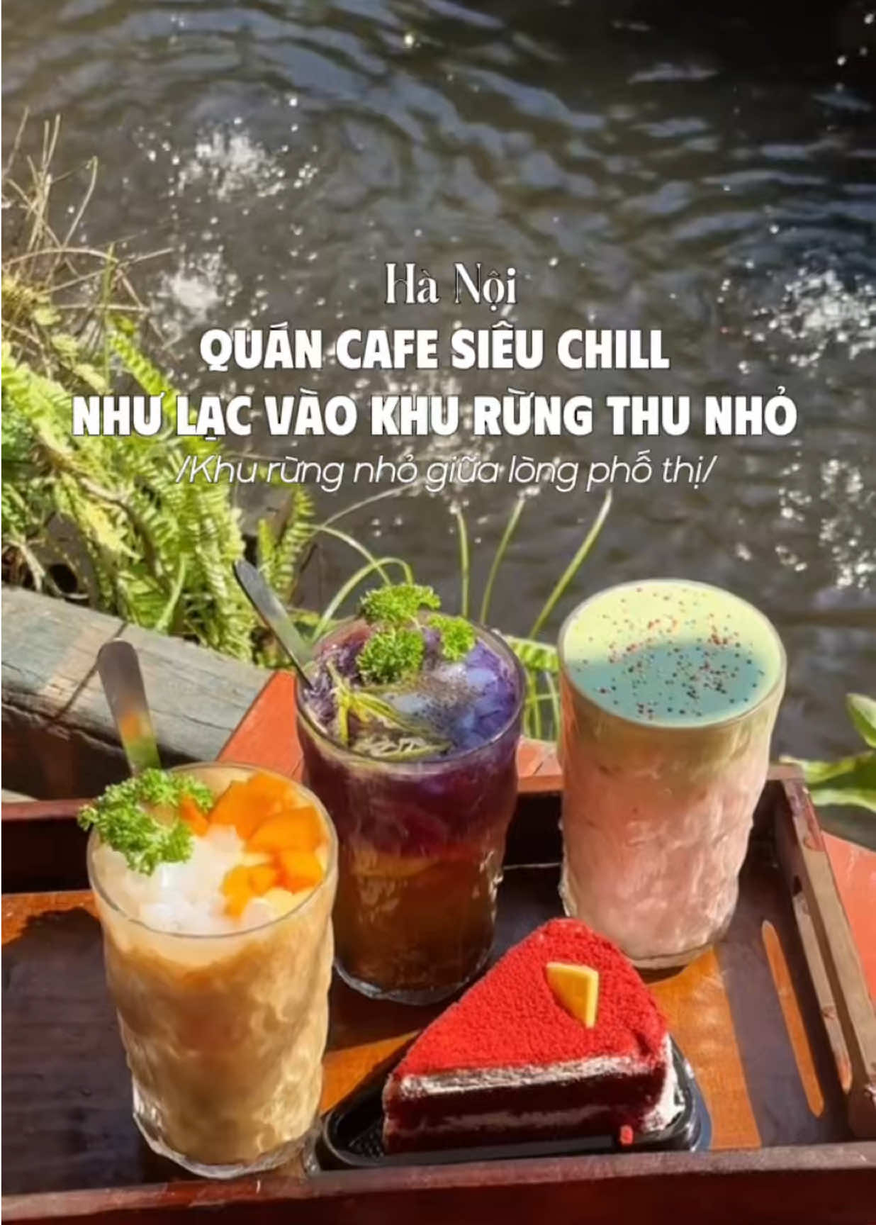 Khu rừng nhỏ giữa long thủ đô #lacahanoi #hanoi #cafe