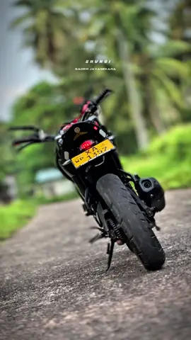 Report වැදිල තියෙන්නෙ පුලුවන් අය Repost කරගෙන යන්න 😭💕 #shungi #fzv1modified #bike #divulapitiya #fzlover 