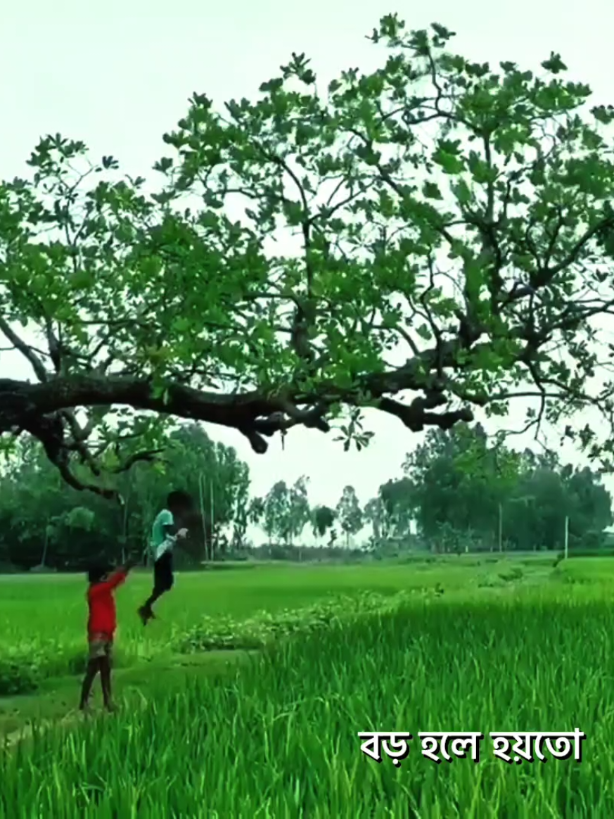 ছোটবেলার থেকে সুন্দর আর কিছু হয় না...!! #lslamic_video #fyp #trending #lslamicreminder 