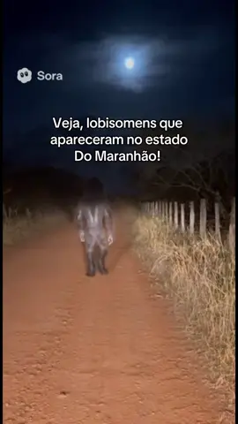 Meu Deus! No estado do Maranhão! 😱😱😱 #maranhao #lobisomem #viralvideos #fyppppppppppppppppppppppp #viral 