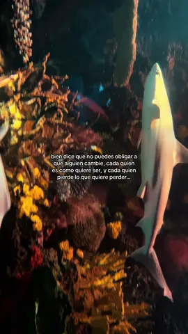 Cómo estás hoy?  #mujereslatinas #aquarium #frasesdeamor #compartir #fyppppppppppppppppppppppp 