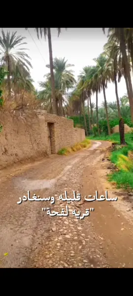 وداعآ ياقريهه لفحة+مدري شمالني صرت احجي فصحه#ارض_الخناجر #واتباد #واتباديوون_للابد🤓 