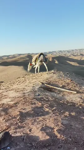 #ئەکتیڤبن🥀🖤ـہہـ٨ــہ 😂تاک