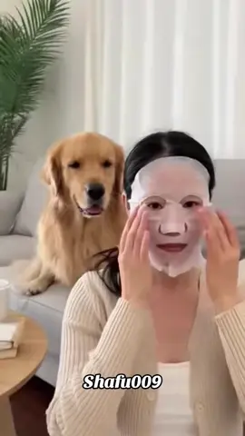 #粉丝一千万#dog#funny#viral#fyp 
