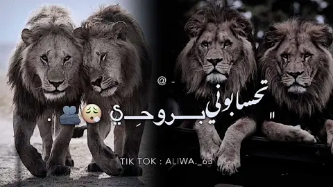 تـاق @ لـرفـيـقـك 🫂🔥 #تصميم_فيديوهات🎶🎤🎬 #ايموفي_القديم #الشعب_الصيني_ماله_حل😂😂 #المصمم_علي🤍🐊 #الاصابعه #الاصابعه_ارض_الرجال🤍🔥 #تيك_توك #viral 