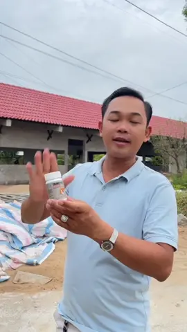 Trimeton Hộp 20 Viên phòng và trị kí sinh trùng máu, đường ruột cho gà #trimeton #phongbenhchoga #kisinhtrungmauga #tribenhga #yeuthuongdongvat 