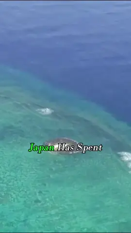 These two tiny rocks could give Japan a sea the size of California #fyp #foryou #knowledge #worklife #island 