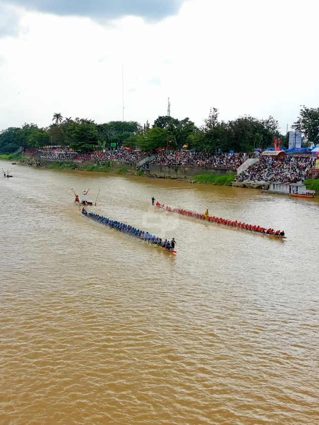 hilir yang di tunggu-tunggu antara jalur pendekar kayangan 🆚 alam cahayo  #kuansingkotajalur #pacujalurkuantansingingi 
