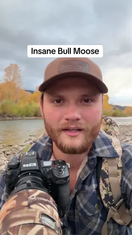 2026 wildlife calendars now available at Isaacspicz.com! #moose #fyp #explorepage #yellowstone #wildlifephotography 