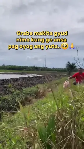 7.4 magnitude earthquake Manay, Davao Oriental #EarthquakeDavaoOriental #Earthquake  #Earthquake2025    #GMAIntegratedNews  #GMARegionalTV  #GMANetwork  #ABSCBN #ABSCBN  #NET25News  #NET25  #NET25NewsandInformation  #TV5News  #TV5 #highlightseveryonefollowers2025 #highlighteveryone #EarthquakeAlert  #EarthquakeUpdate  #disasterpreparedness 