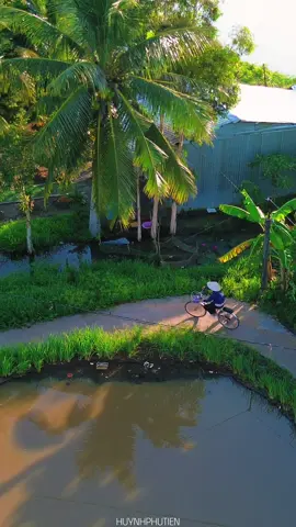 Bao nhiêu thương nhớ... Cảnh đẹp miền tây #huynhphutien #mientay 