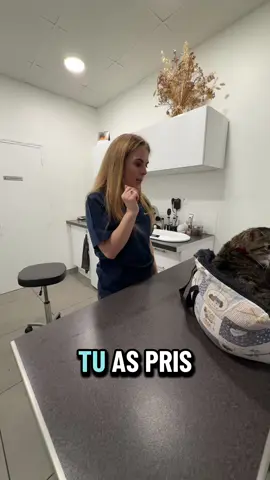 Tito est venu nous voir ce matin #cat #chat #vet #dog #chien 