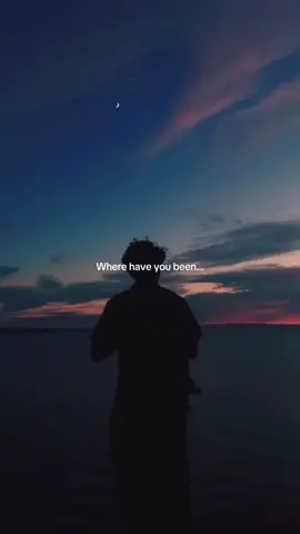 Where have you been 🎧🎶🥀 #spedup #lyrics_songs #wherehaveyoubeen #musicvideo #song 
