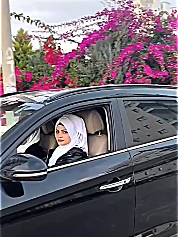 #👍ام_سيف لا من امشي بشارع ما  اسأل #نانو #جيفارا_العلي 