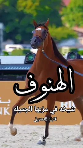 شيلة باسم الهنوف 2026 شيلة مدح الهنوف #creatorsearchinsights #شيلات_مدح_شيلات_تباريك_شيلات_زواج #السعودية_الكويت_الإمارات_قطر #شيلات_روعه_خواطر_ذوق #pppppppppppppppp