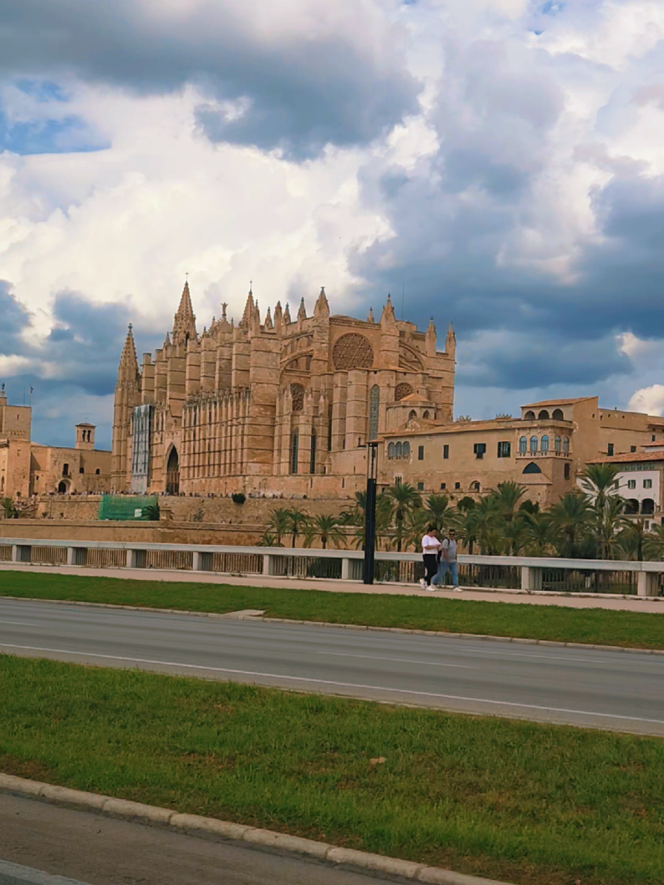 Greetings from Palma de Mallorca 🫶🌴