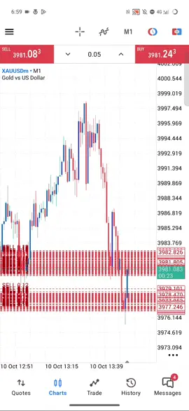 win news 😀  #profit #fyp #nfp 