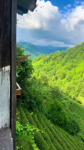 Sevdiğine kavuşamayan var mı acaba #karadeniz #karadenizli #karadenizşarkıları #karadenizlilerburdamı #tulum 