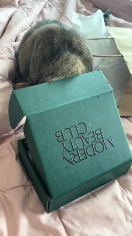 Momma went to a @Modern Beauty Club | ATL 🍑 event so I get a new bag and box!  #wellness #funnypets #trending #atlanta #funnycat 