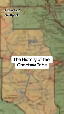 #duet with @NativeAmerican #nativeamerican #sweetie_010 #Everyone #nativetiktok 