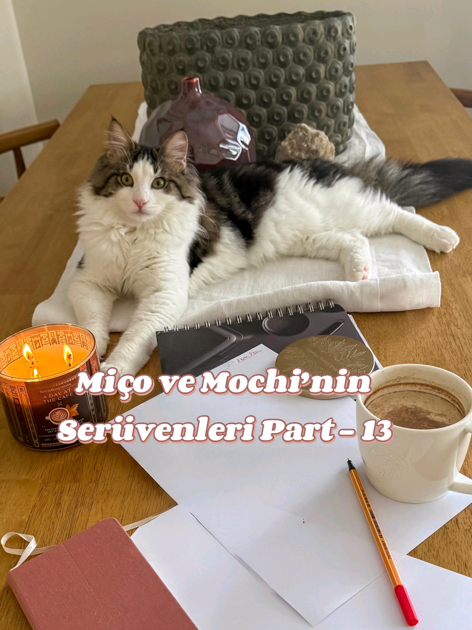 yapmasam olmazdıı ahagahaha  Miço ve Mochi'nin serüvenleri part13