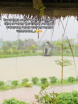 ইনশাআল্লাহ একদিন আমারও একটা মানুষ হইবো সে আমার পছন্দে চলবো আমার সব কথা শুনবো, আমার মতো করে আমাকে ভালোবাসবো..! 🫠🫶#unfrezzmyaccount #copylinkplease💗 #foryou #foryoupage #view 