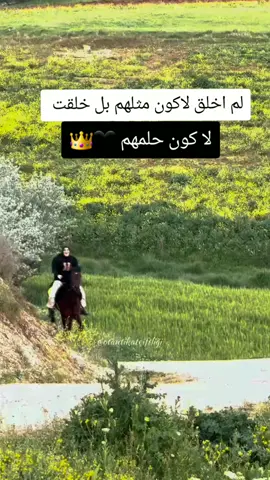 #خيل_وخياله🐎 #youtube #تصميم_فيديوهات🎶🎤🎬 #duet #الكسبلوررررررررر؟؟🌹💙 